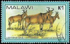 MALAWI   #381 USED (1)