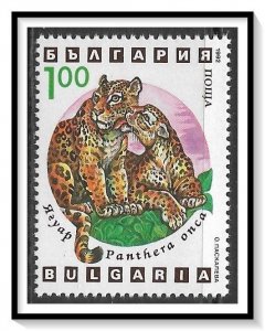 Bulgaria #3739 Wild Cats MNH