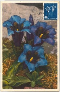 57292 - SWITZERLAND - POSTAL HISTORY: MAXIMUM CARD 1943 - FLOWERS - RARE!-