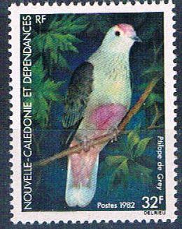 New Caledonia 479 MNH Bird Greys Ptliope 1982 (N0599)+