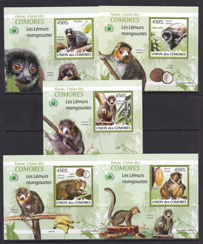 Comores 2009 Fauna Mangoose 5 S/Sheets Deluxe Edition MNH