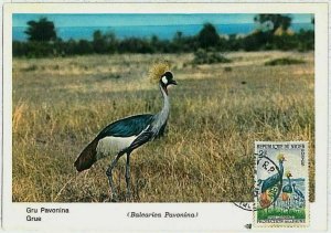 32898 - NIGER - POSTAL HISTORY - MAXIMUM CARD 1965 - Birds-