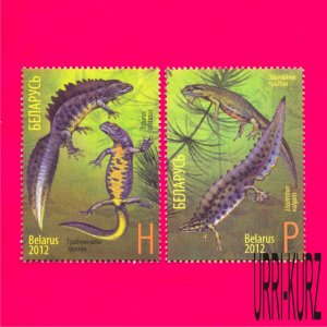 BELARUS 2012 Russia Nature Fauna Animal Reptiles Amphibians Newts 2v Mi922A-923A