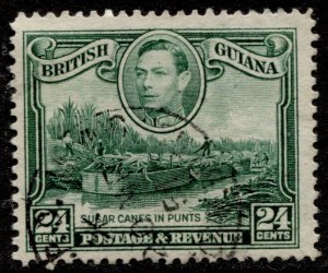 British Guiana #234 KGVI Definitive Used CV0.30