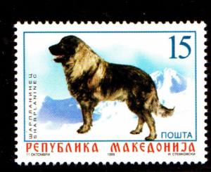 MACEDONIA #145  1999  DOG  MINT  VF NH  O.G