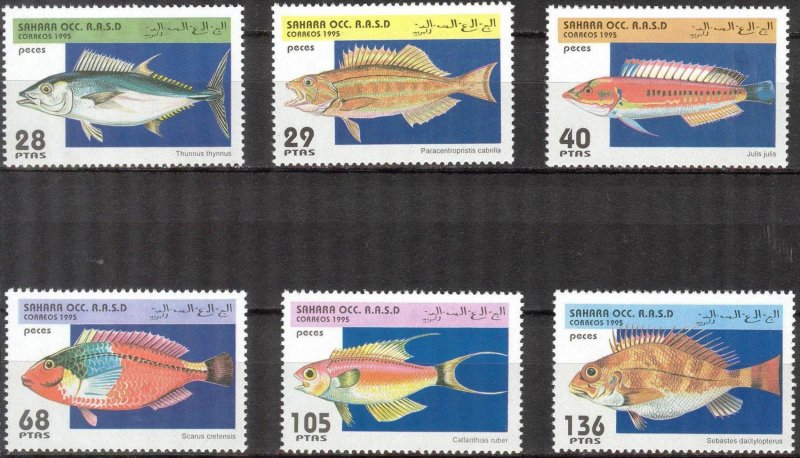 Sahara OCC. R.A.S.D.  1995 Fishes Set of 6 MNH