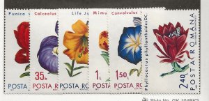 Romania Sc 2249-54 MNH Set of 1971 - Flowers