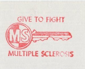 Meter top cut USA 1968 Multiple Sclerosis - Give to Fight - Key