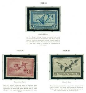 US DUCK STAMP COLLECTION - #RW1-73, Complete to 2006, NH in album Scott $5,779