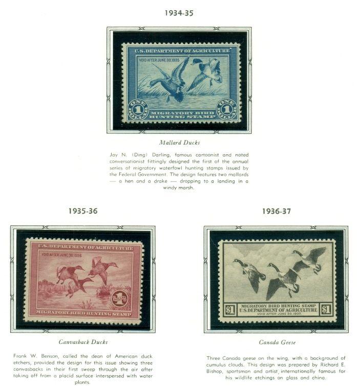 US DUCK STAMP COLLECTION - #RW1-73, Complete to 2006, NH in album Scott $5,779