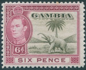 Gambia 1938 6d olive-green & claret SG155 unused