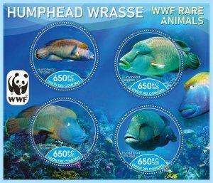 Stamps. Fauna Animals WWF Fishes  1+1 sheets perforated 2021 year Comores