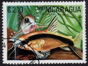 Nicaragua 1123 - Cto - 2.10cor Skunk Corydora (Catfish) (1981) (2)