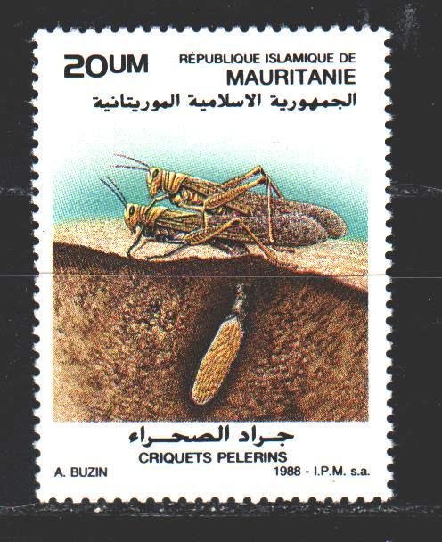 Mauritania. 1988. 951 from the series. Locust insects fauna. MNH.