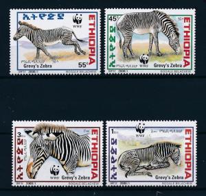 [54063] Ethiopia 2001 Wild animals Mammals WWF Zebra MNH