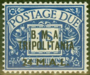 Tripolitania 1948 24l on 1s Dp Blue SGTD5 Fine MNH