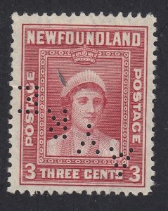 Newfoundland #255 Used AYRE Perfin