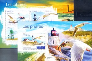 2015 Headlights and Birds.