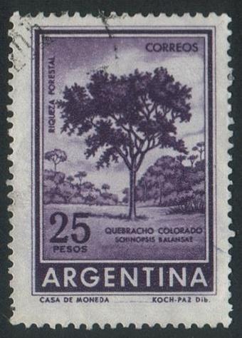 Argentina#702 - Red Quebracho Tree - Used 