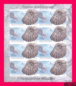 ABKHAZIA 2019 Fauna Marine Shell Fossil Extinct Cephalopod Ammonite Archaeology