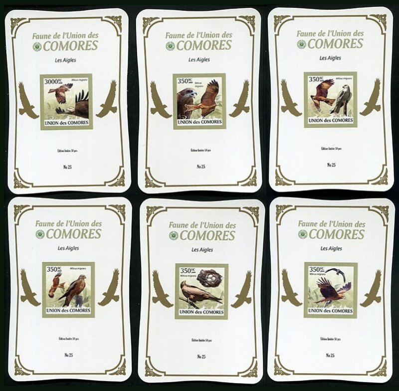 Ly473 2009 Comoros Eagles Birds Of Prey Fauna Gold ! Cardboard 6Bl Mnh