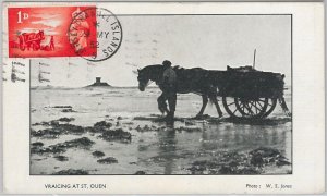 57250 - GB - POSTAL HISTORY: MAXIMUM CARD 1952 - HORSE CART-