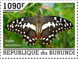 Burundi - 2022 Citrus Swallowtail Butterfly - Stamp - BUR2201062a