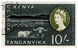 (I.B) KUT Postal : Buffalo 10/- (SG 197)