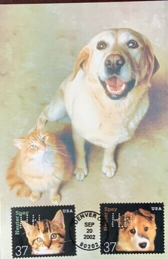 HNLP Hideaki Nakano Greeting Card Spay Neuter 3671/2 Dog Cat We Have to Pee