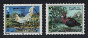 Yugoslavia Spoonbill Ibis Birds 2v 1996 MNH SC#2340-2341 SG#3045-3046