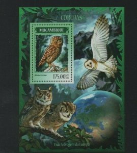 Thematic stamps Birds - Mozambique 2014 Owls mini sheet - mint