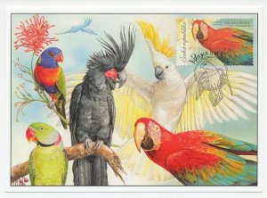 Maximum card Czech Republic 2004 Bird - Macaw - Parrot