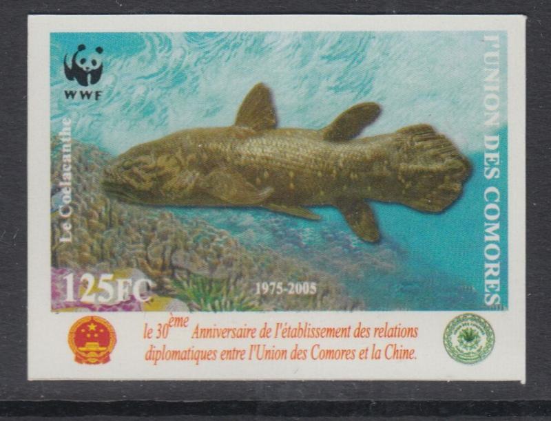 XG-BA424 COMOROS IND - Wwf, 2005 Fish, China Diplomatic Relations, Imp. MNH Set