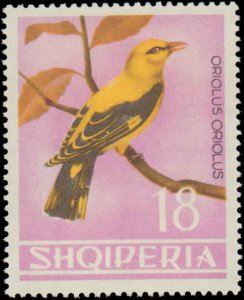 Albania #746-753, Complete Set(8), 1964, Birds, Never Hinged