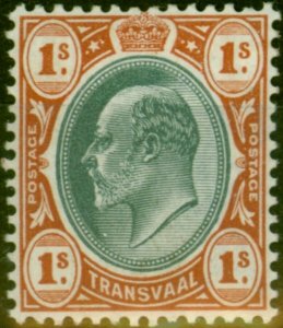 Transvaal 1903 1s Grey-Black & Red-Brown SG256 Fine MM