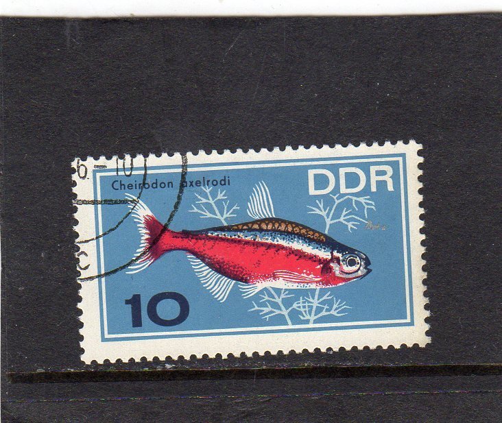 Germany DDR 1966 Fish used