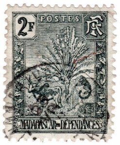 (I.B) Madagascar Postal : Traveller's Tree 2Fr