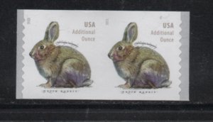 Scott #  5545 pair MNH 20 cent Brush Rabbit
