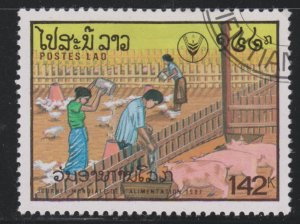 Laos 831 Tending Pigs. Chickens 1987