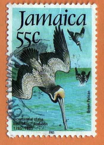 Jamaica - #596 - Used - Birds