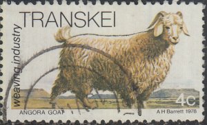 SOTH AFRICA - TRANSKEI    #48   Used