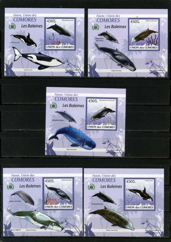 COMORO ISLANDS 2009 WHALES SET OF 5 DELUXE S/S MNH 