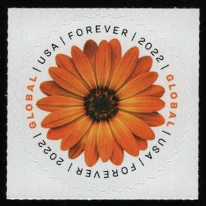 #5680 Global Forever: African Daisy, Mint **ANY 5=FREE SHIPPING**