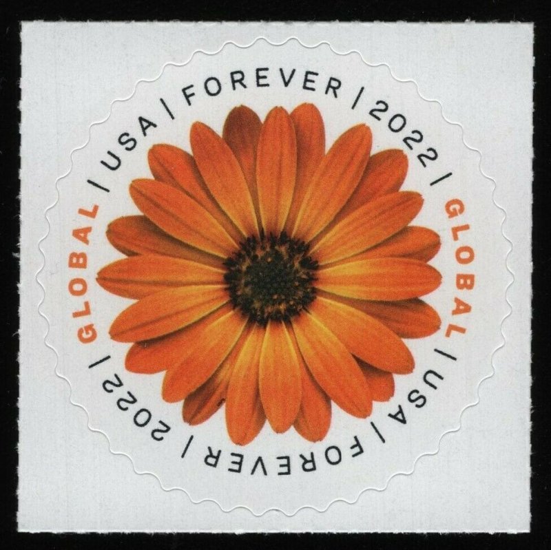 #5680 Global Forever: African Daisy, Mint **ANY 5=FREE SHIPPING**