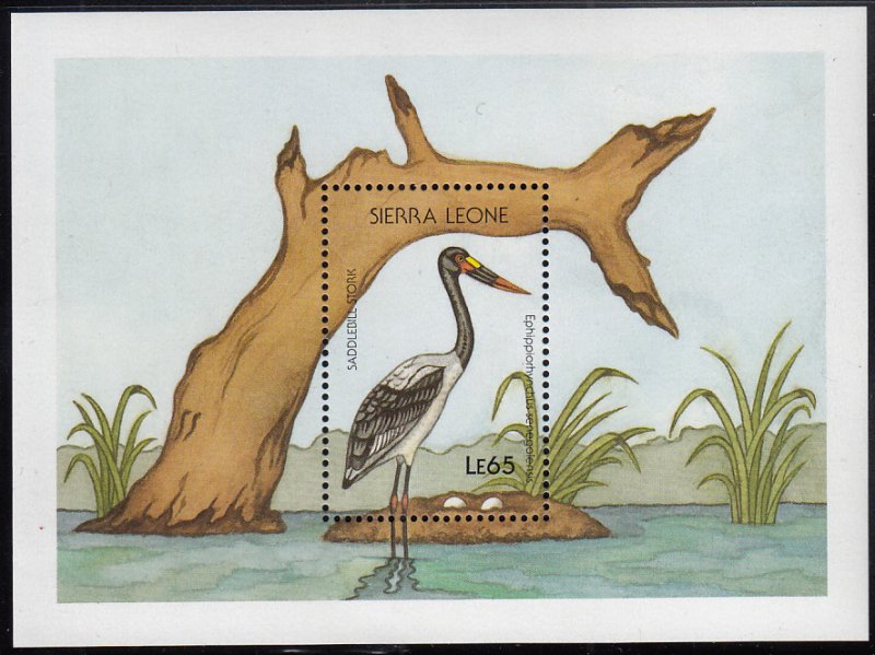 Sierra Leone 1988 MNH Sc #983 65Le Saddlebill stork Birds