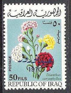 Iraq #537 Flowers Overprinted MH