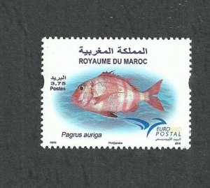 2016- Morocco- Maroc- Fish in Euromed, Joint & common issue- MNH** 