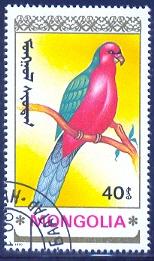 Bird, Parrot, Mongolia stamp SC#1898 used