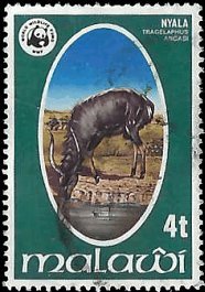 MALAWI   #319 USED (1)