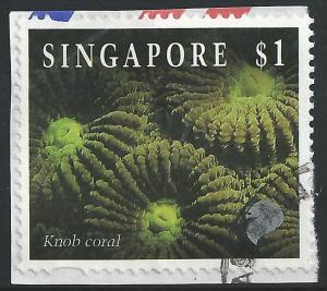 Singapore #682 $1 Knob Coral